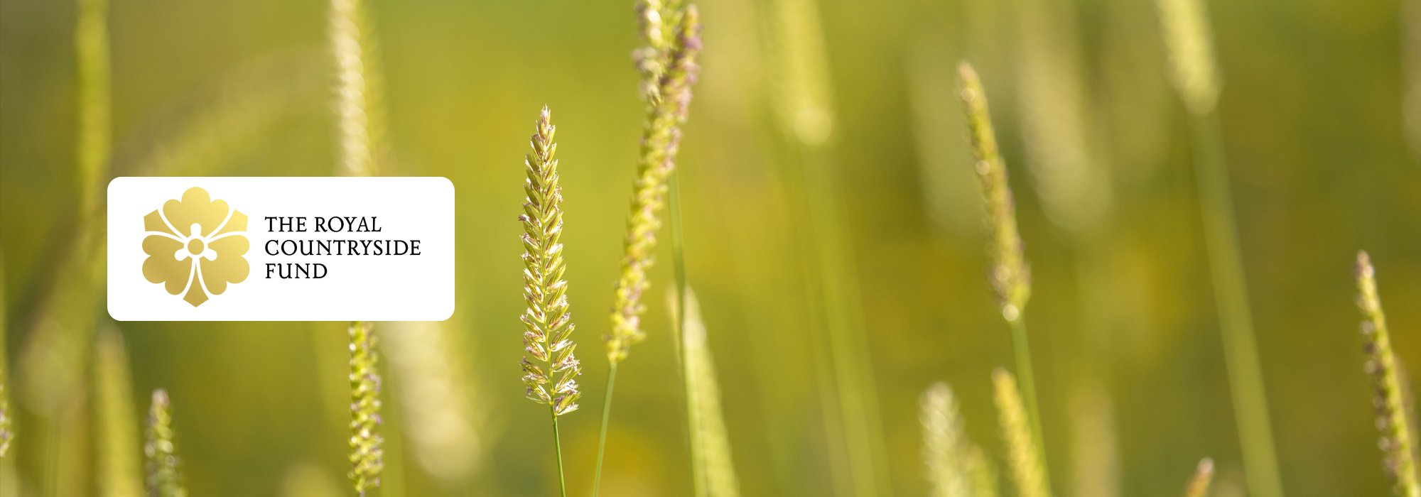 Royal Countryside Fund