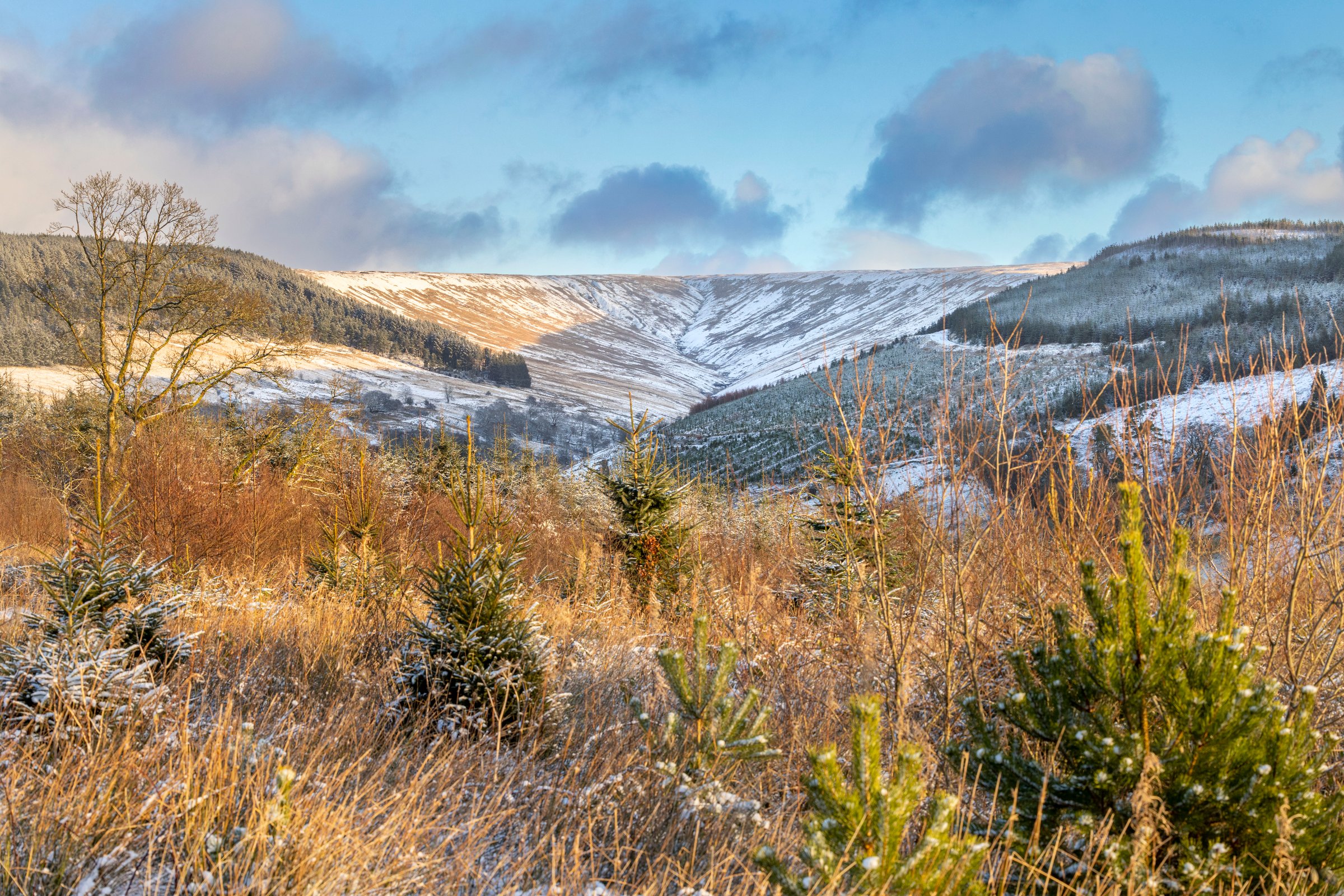 View of the valley at Garwnant, Brecon Beacons