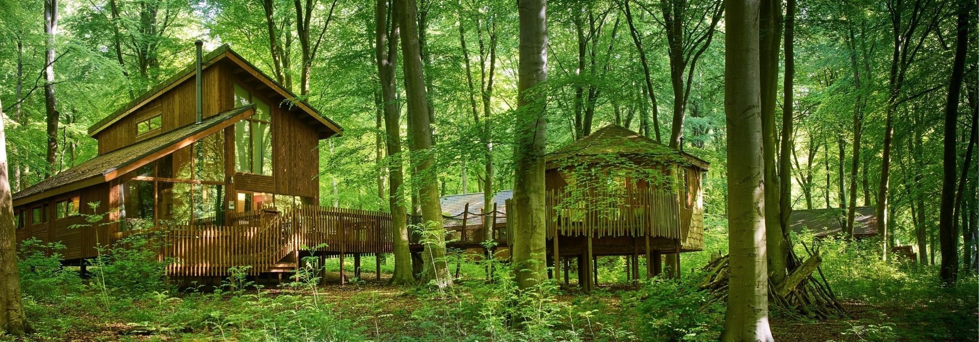 Discover treehouse cabins at 10 of our locations