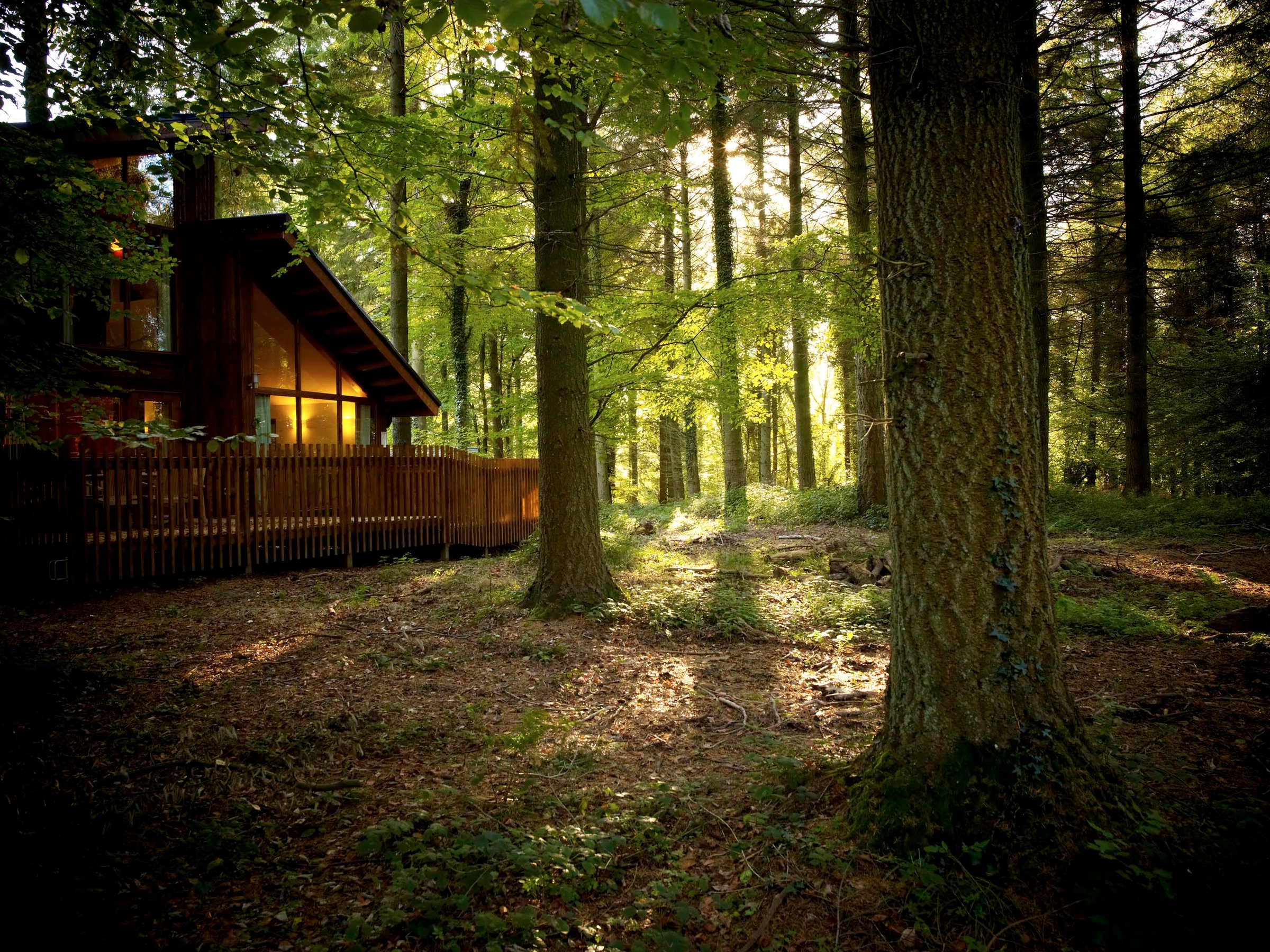 Log cabin in the woodland at Forest of Dean, Forest Holidays