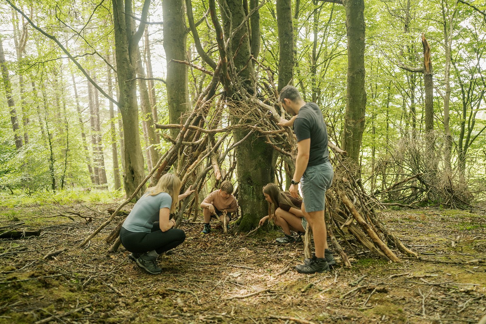 Book forest activities