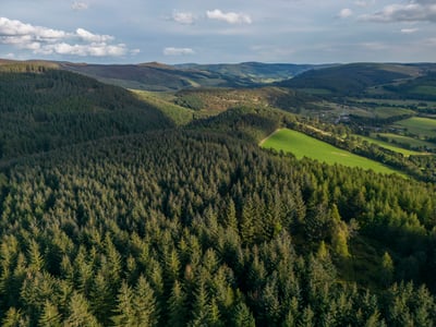 Glentress Forest