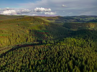 Glentress Forest