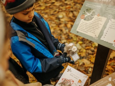 Elvis Owl Nature Trail