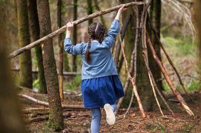 Den building in the forest