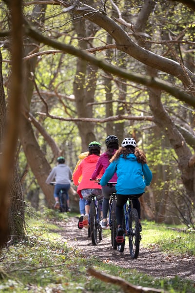 Adult bike hire at Forest Holidays