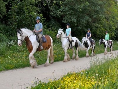 Horse riding activity at Forest Holidays