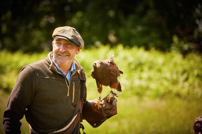 Birds of prey experience at Sherwood Forest, Forest Holidays