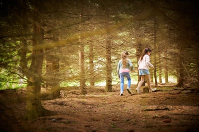 Check point - a wild outdoor escape game