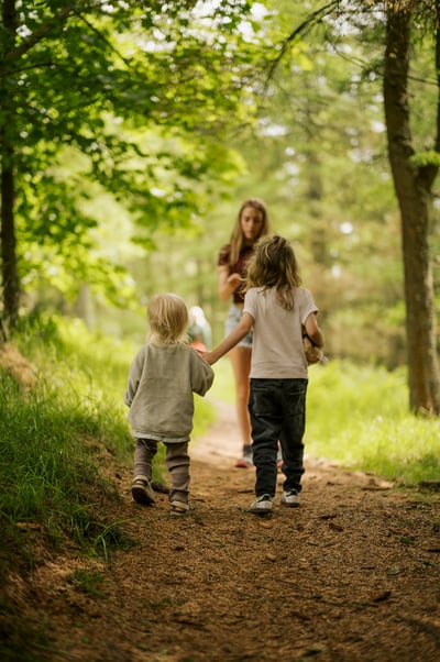 Guided Woodland Walk