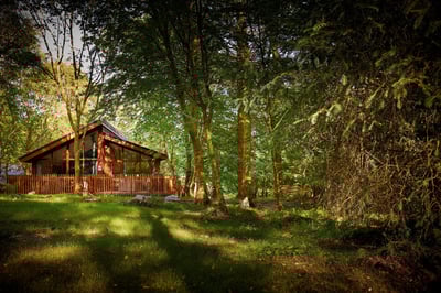 A cabin nestled in the forest at Beddgelert, Snowdonia, Forest Holidays