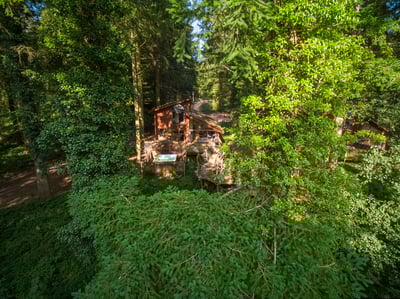 Cabins in the forest at Forest of Dean, Gloucestershire, Forest Holidays