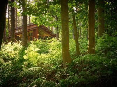 A cabin within the forest at Sherwood Frest, Nottinghamshire, Forest Holidays