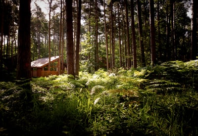 Forest Holidays cabin at Sherwood Forest, Nottinghamshire