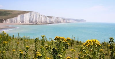 South Downs in Hampshire