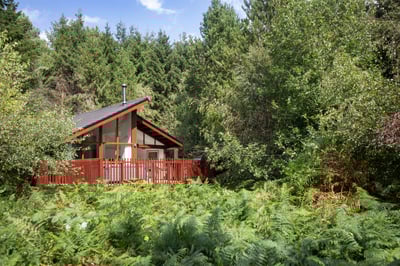 View over White Willow Premium cabin at Delamere Forest