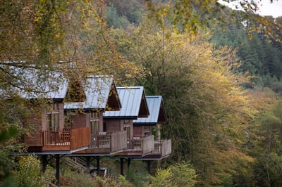 Silver Birch exterior view at Deerpark