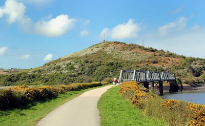 The camel walking trail in Cornwall