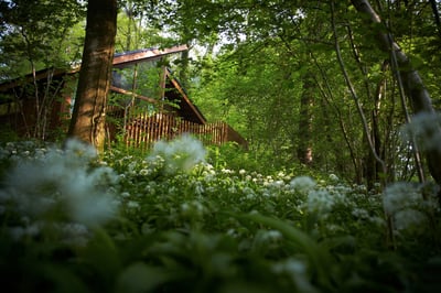 The Golden Oak Hideaway cabin nestled in the trees at Forest of Dean, Forest Holidays
