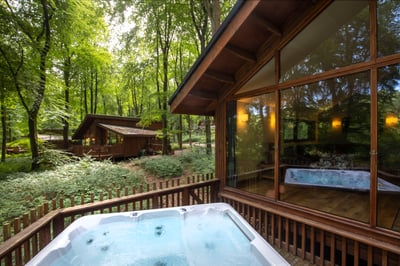 View of the forest from the hot tub at Blackwood Forest, Forest Holidays