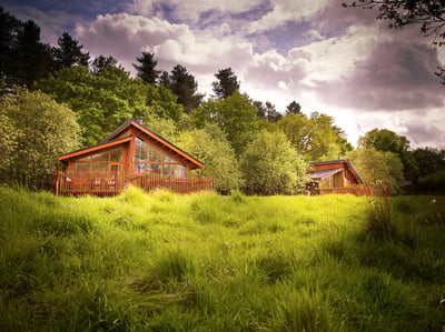 Log cabins at Thorpe Forest, Forest Holidays