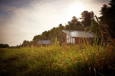 Exterior view of log cabin at Forest Holidays