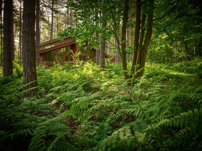 Exterior view of the Golden Oak Hideaway at Sherwood Forest, Forest Holidays