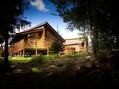 Exterior view of log cabins at Cropton, Forest Holidays