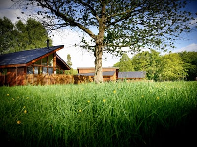 Exterior view of log cabins at Forest of Dean, Forest Holidays