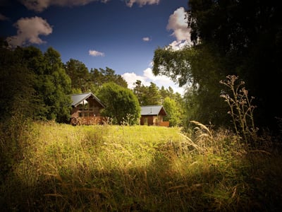 Exterior view of log cabins at Keldy, Forest Holidays