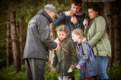 Forest Ranger activity at Forest Holidays