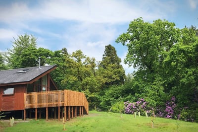 Golden Oak Hideaway cabin at Beddgelert, Forest Holidays