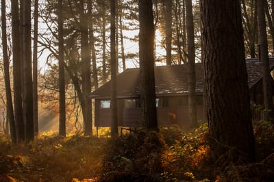 Sunrise on the log cabins at Delamere Forest, Cheshire