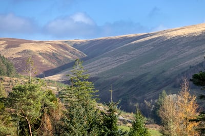 Valley View at Garwnant