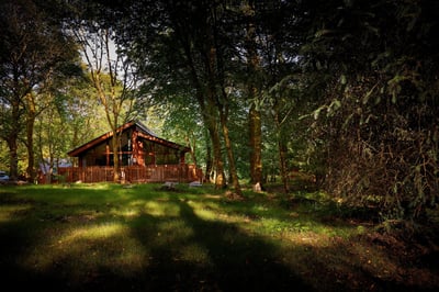 A cabin nestled in the forest at Beddgelert, Snowdonia, Forest Holidays