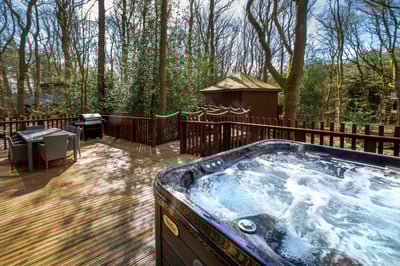 Delamere Forest Hot Tub Image