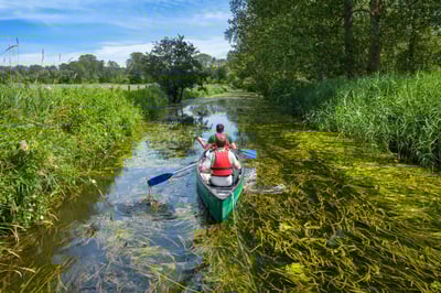 two people kayaking down a river on a kayaking holiday 