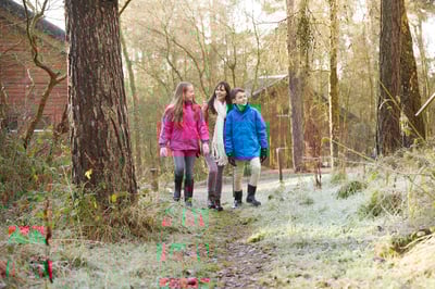 Family walking through the winter forest