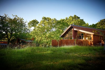 Exterior view of log cabins in summer at Beddgelert, Forest Holidays
