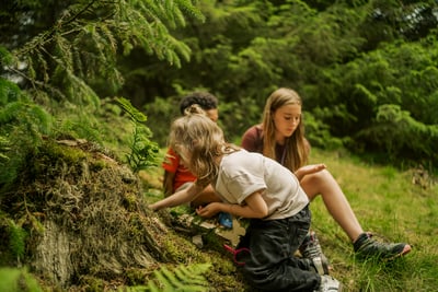 Kids searching for bugs in the forest