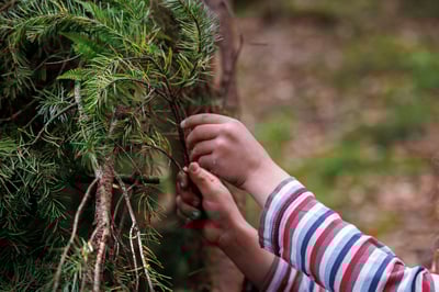 Child making a den in the forest
