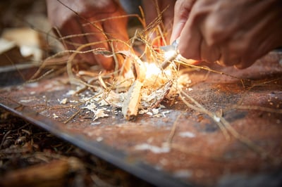 Forest Ranger fire lighting activity at Forest Holidays