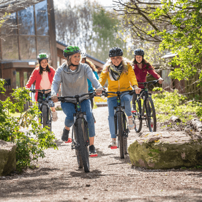 A group of four people rides bicycles on a gravel path, surrounded by greenery and buildings with glass windows, enjoying a sunny day outdoors.