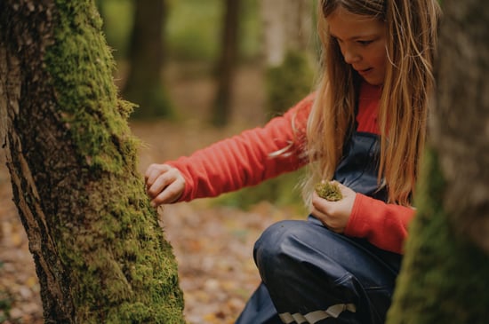 A girl touching a tree in a forest