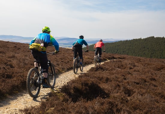 Mountain bikers in Glentress Forest