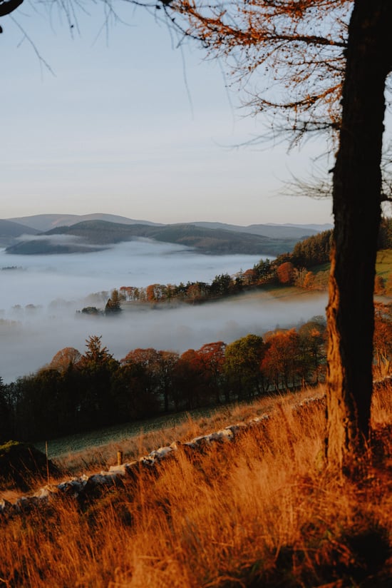 Glentress Forest sunset views
