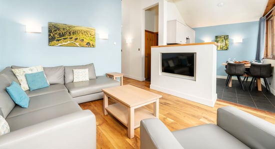 Silver Birch lounge