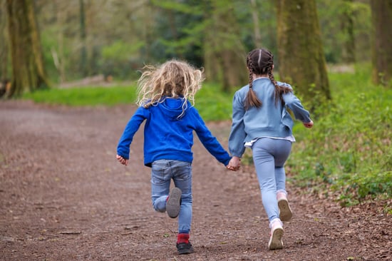 Children playing in the forest