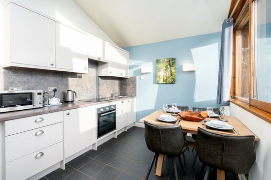 Silver Birch kitchen