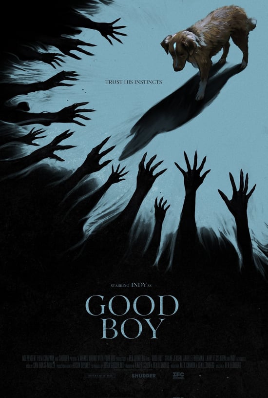 Good boy film poster